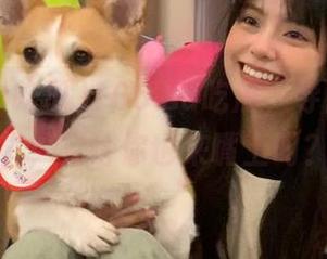 166.su吃瓜，导航暗藏玄机，凭啥你也来嘴上叼？