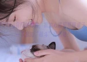 搜索51cg官网的时候，我的心情和整理桌子一样乱，分享一下我的“战斗”经历吧！