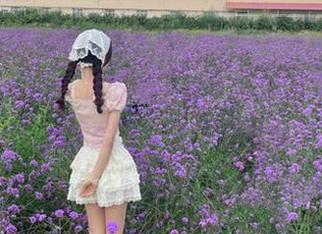 一边吃瓜一边看，观看“520.fun”就像翻开一本俏皮的小册子