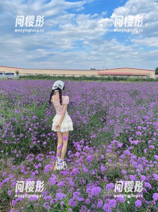 一边吃瓜一边看，观看“520.fun”就像翻开一本俏皮的小册子