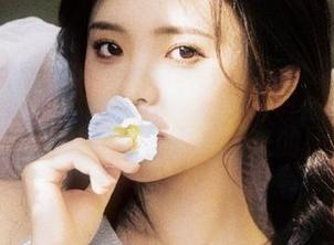 只需“91hl1”，你的“永不迷路”指引就是天上掉下来的梗！