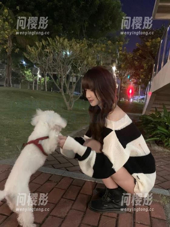 今日吃瓜911：苹果版小天地，亲，别闹，瓜都被我给吃了！