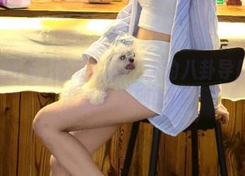 吃瓜论坛：你的八卦导航指南，走过路过别错过！